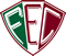 Fluminense PI Crest