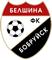 Belshina Bobruysk crest